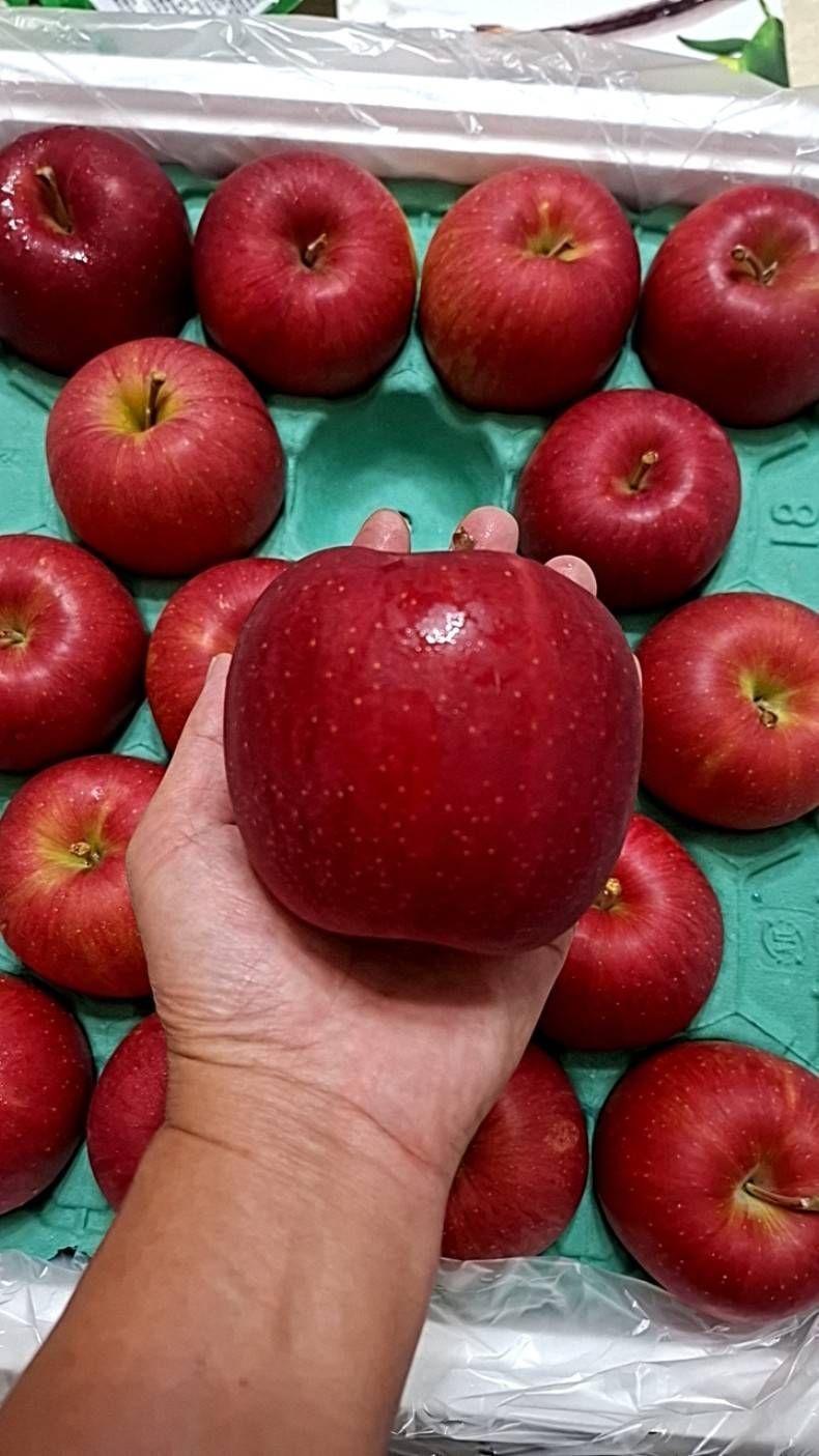 空運紅顏姬蘋果