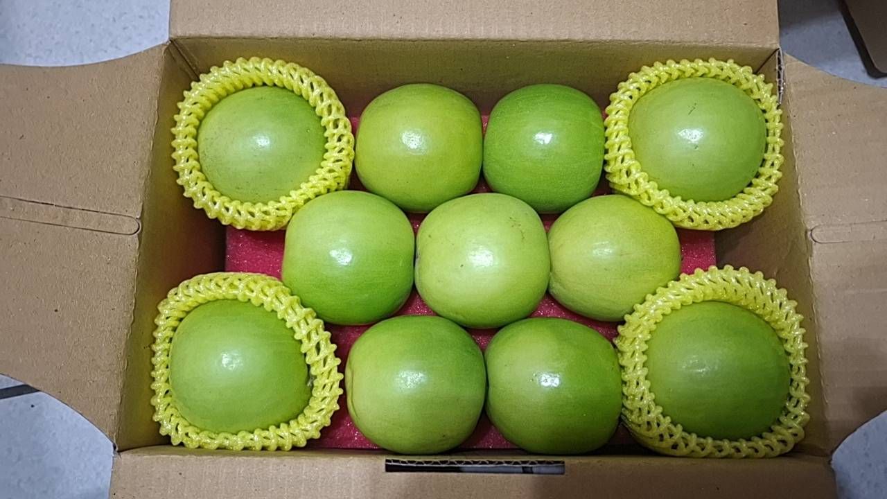 雪麗蜜棗約3.4-4兩/顆