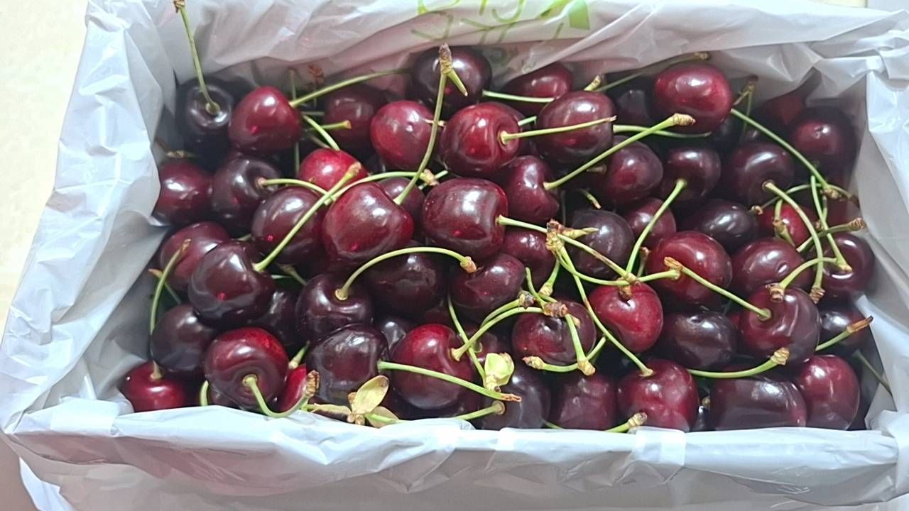 空運紐西蘭櫻桃28mm/ 2公斤/4盒/禮盒裝