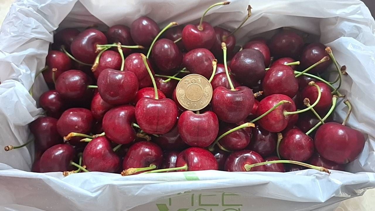 空運紐西蘭櫻桃30mm-32mm/1公斤禮盒裝