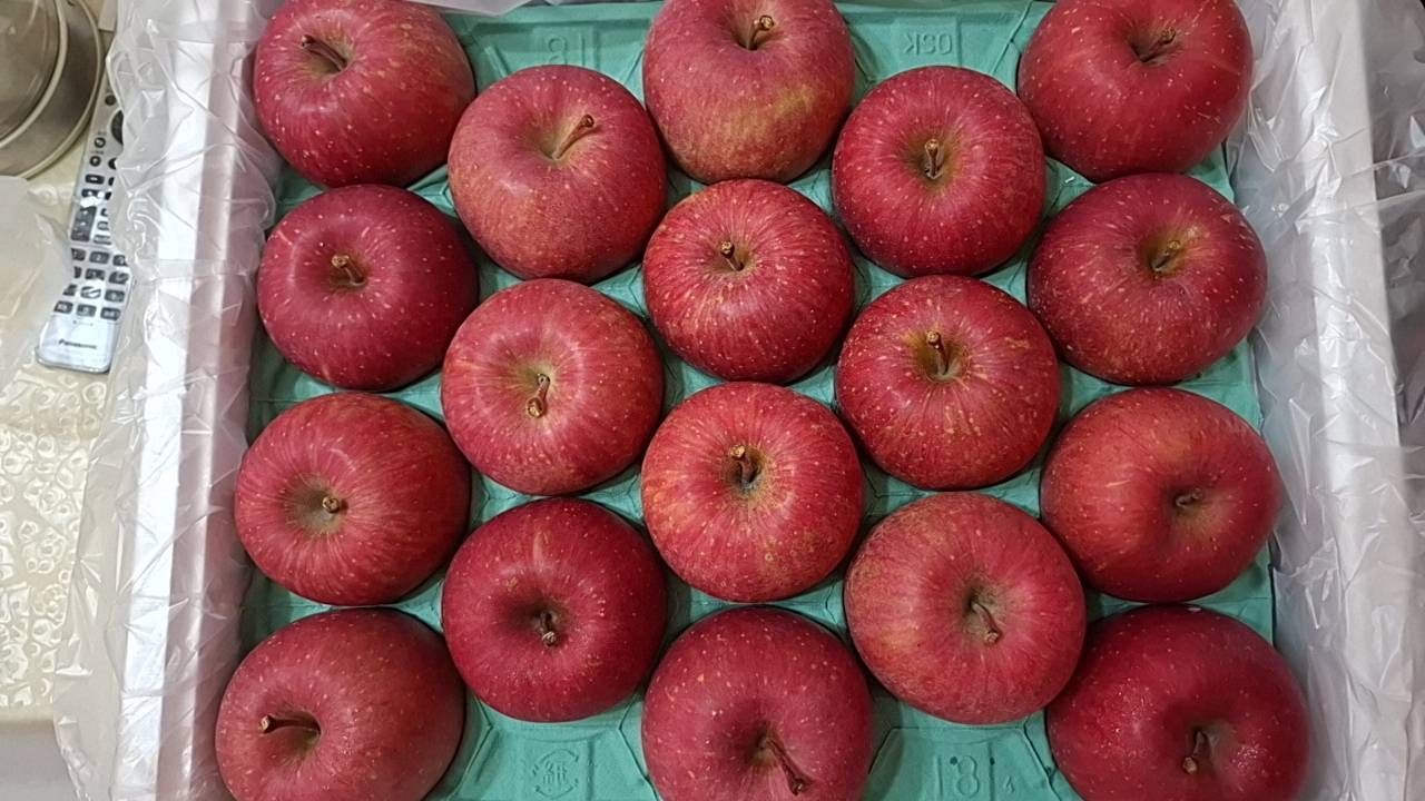 青森蜜蘋果 36粒 原封箱