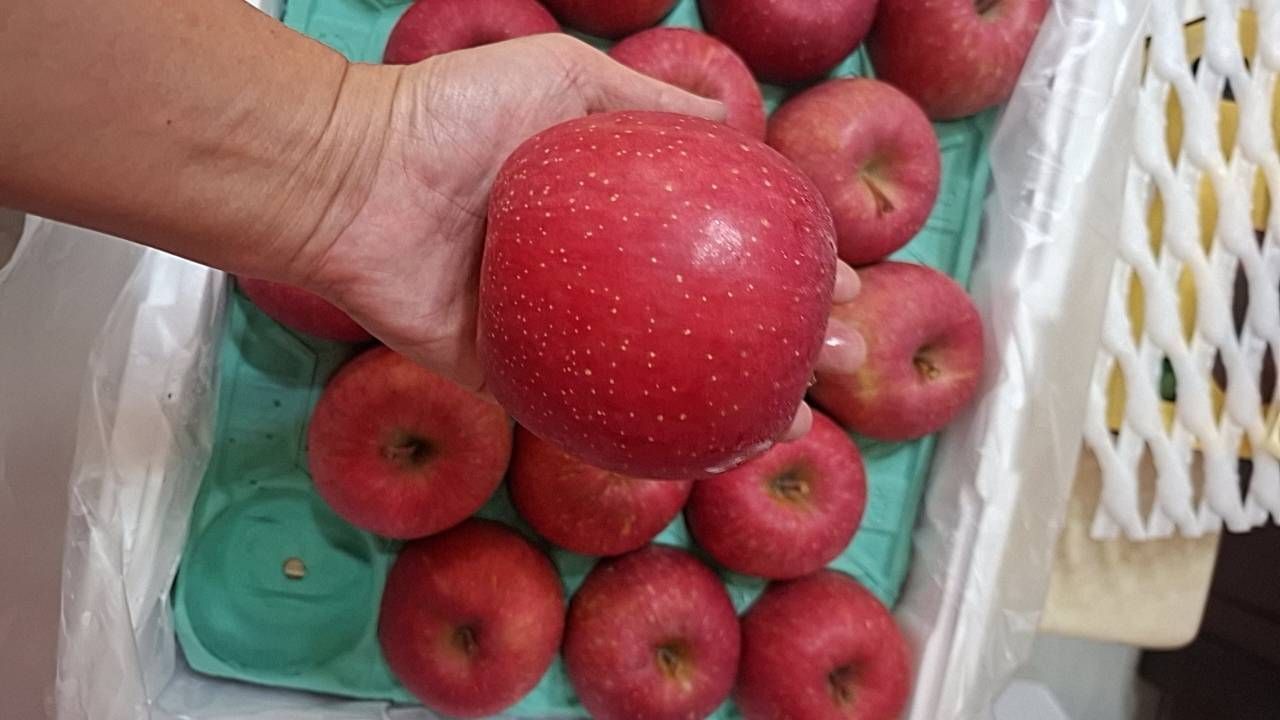 青森蜜蘋果 36粒 原封箱