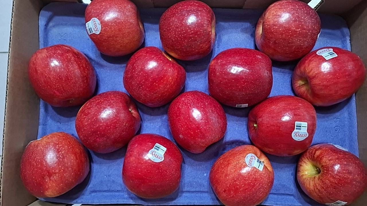 愛妃蘋果 原封箱-約24-28粒裝