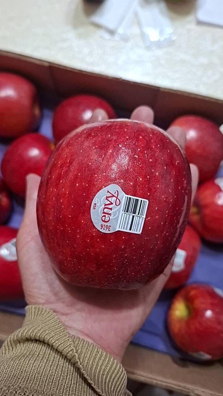 愛妃蘋果 原封箱-約24-28粒裝