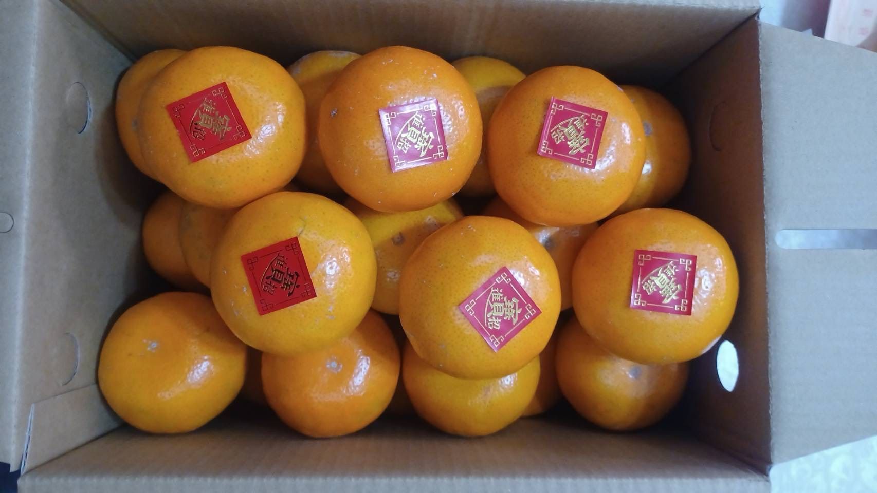 茂谷柑約10斤.25A/禮盒裝