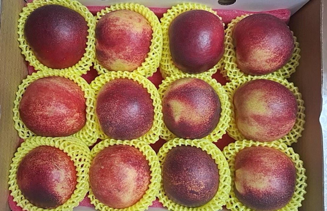 智利空運甜蜜桃/2盒組