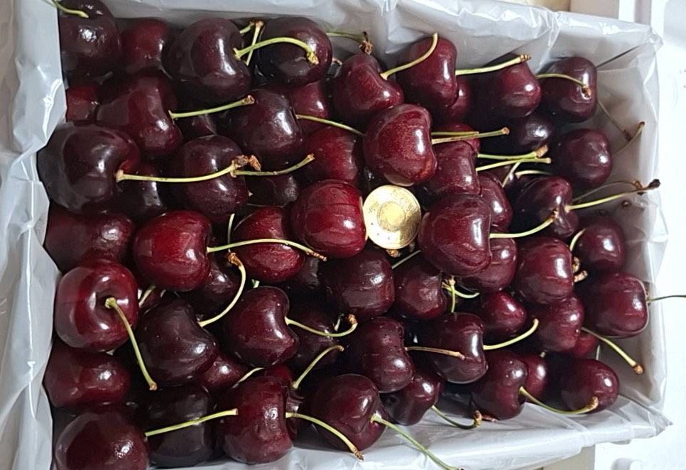 空運紐西蘭/櫻桃(32mm-34mm) 2公斤/禮盒裝