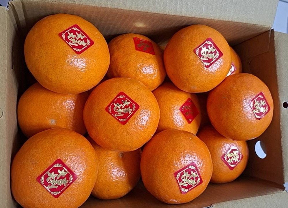 茂谷柑/27A/約10斤/禮盒裝/一箱