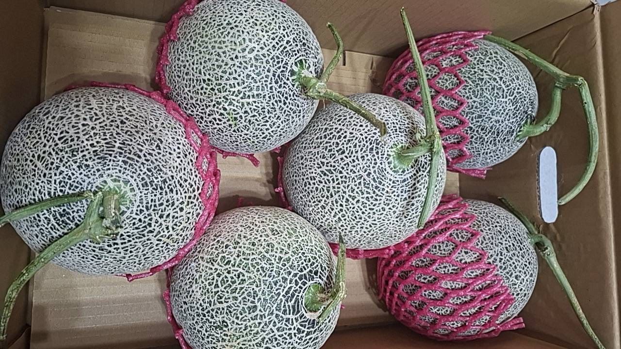 天華哈密瓜/6顆含箱20斤/原封箱