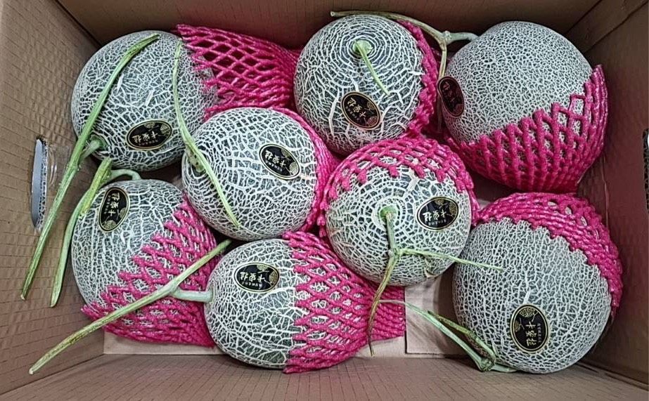 卡蜜啦哈蜜瓜4顆裝/一般紙箱