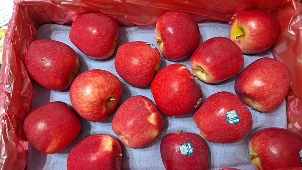 紐西蘭炫蜜蘋果30粒/原封箱