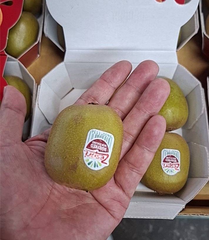 紐西蘭/寶石紅奇異果6小盒一箱/原封箱