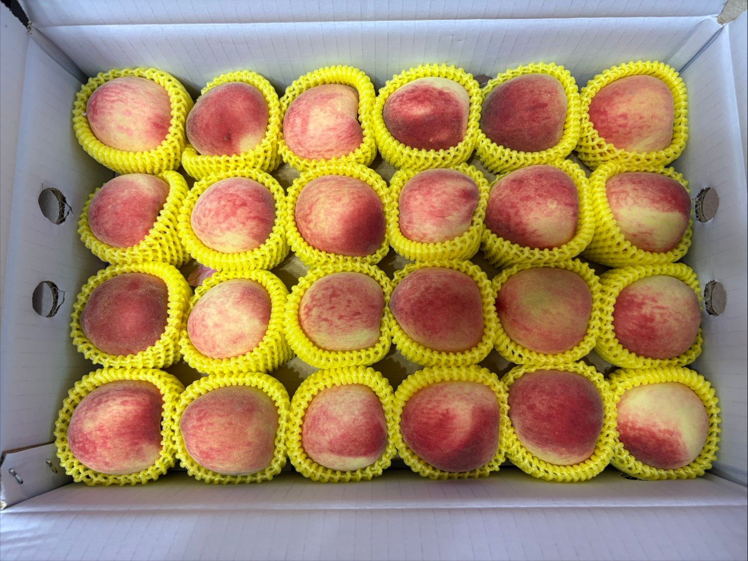 紅鈴水蜜桃/24顆裝/原封箱