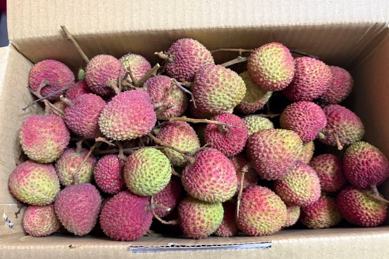 大樹玉荷包一箱5斤/手提式禮盒裝