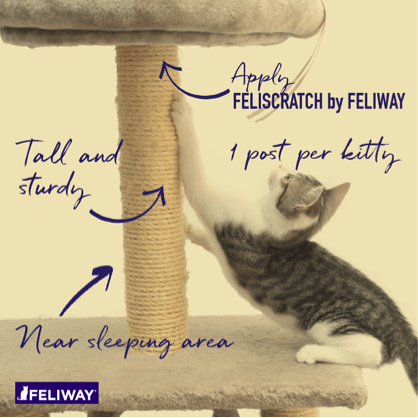 Feliscratch by clearance feliway