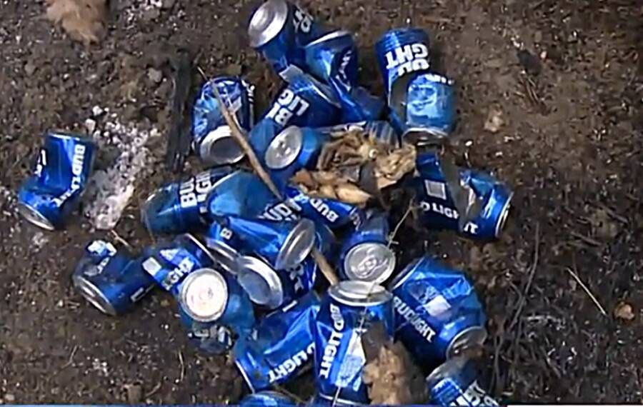 Bud Light’s Demise at the Hands of Credentialed Woke Millennials