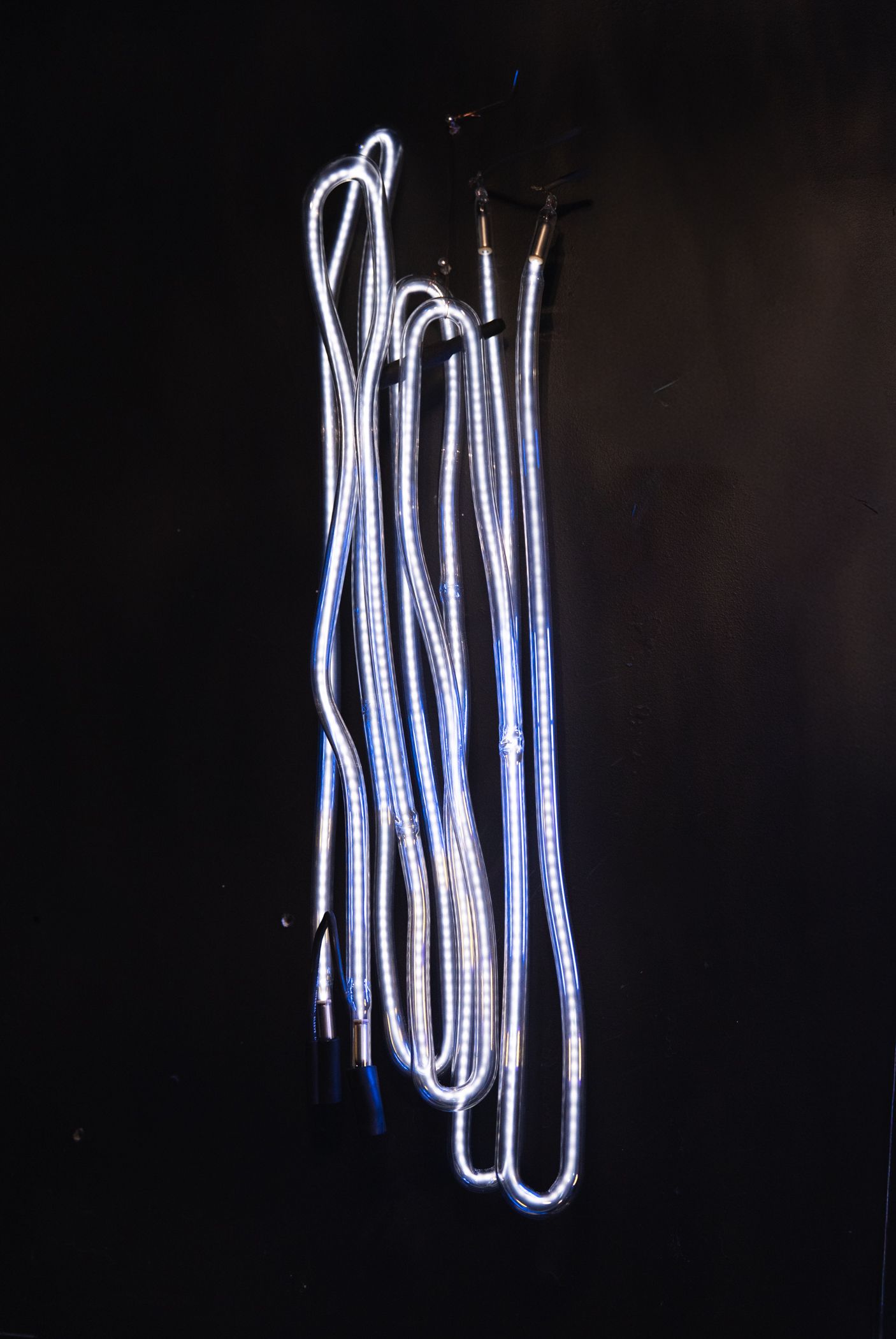 Bright white neon light on a black background, forming a vertical, tangled shape; art by Yale Wolf.