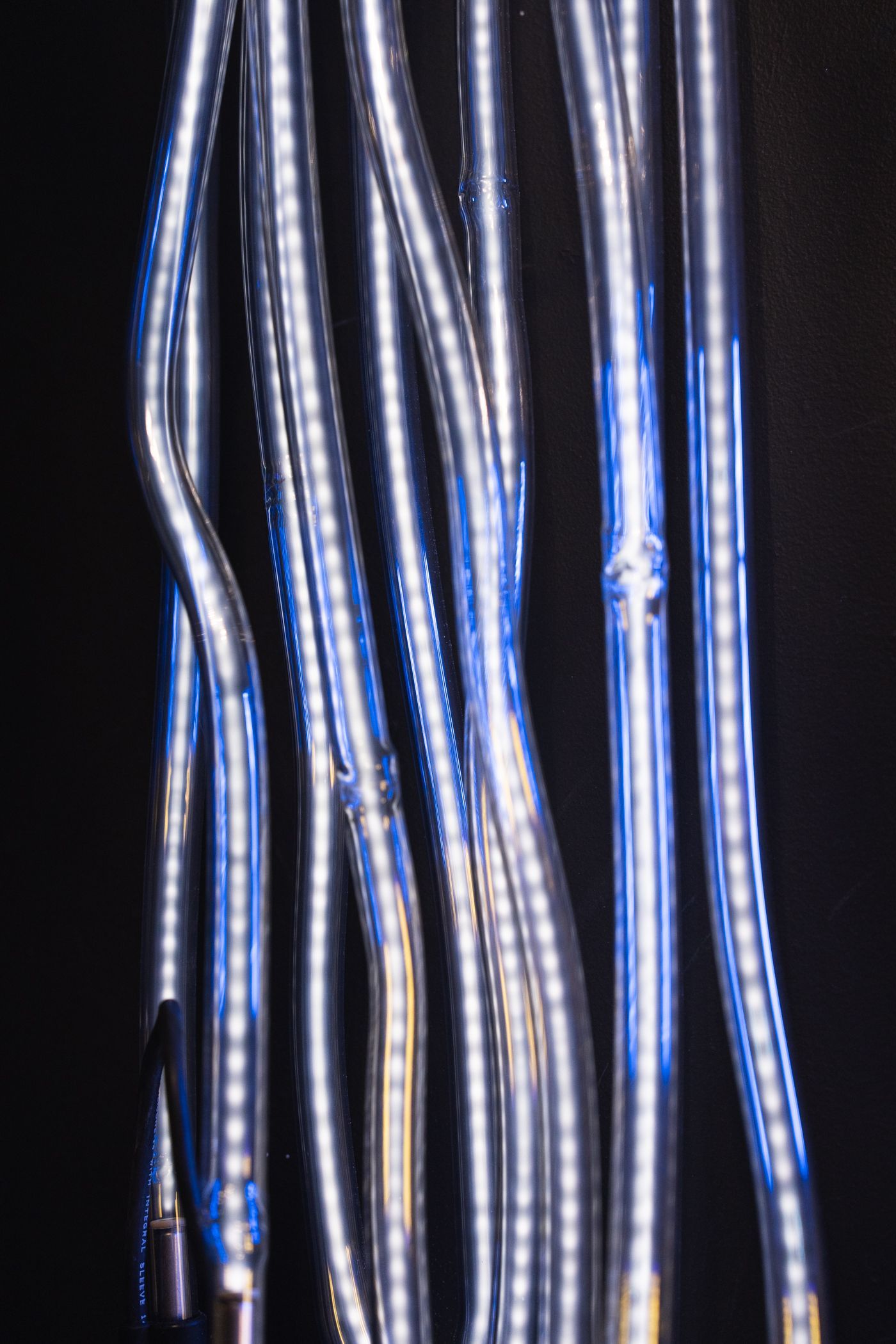 Bright white neon light on a black background, forming a vertical, tangled shape; art by Yale Wolf.