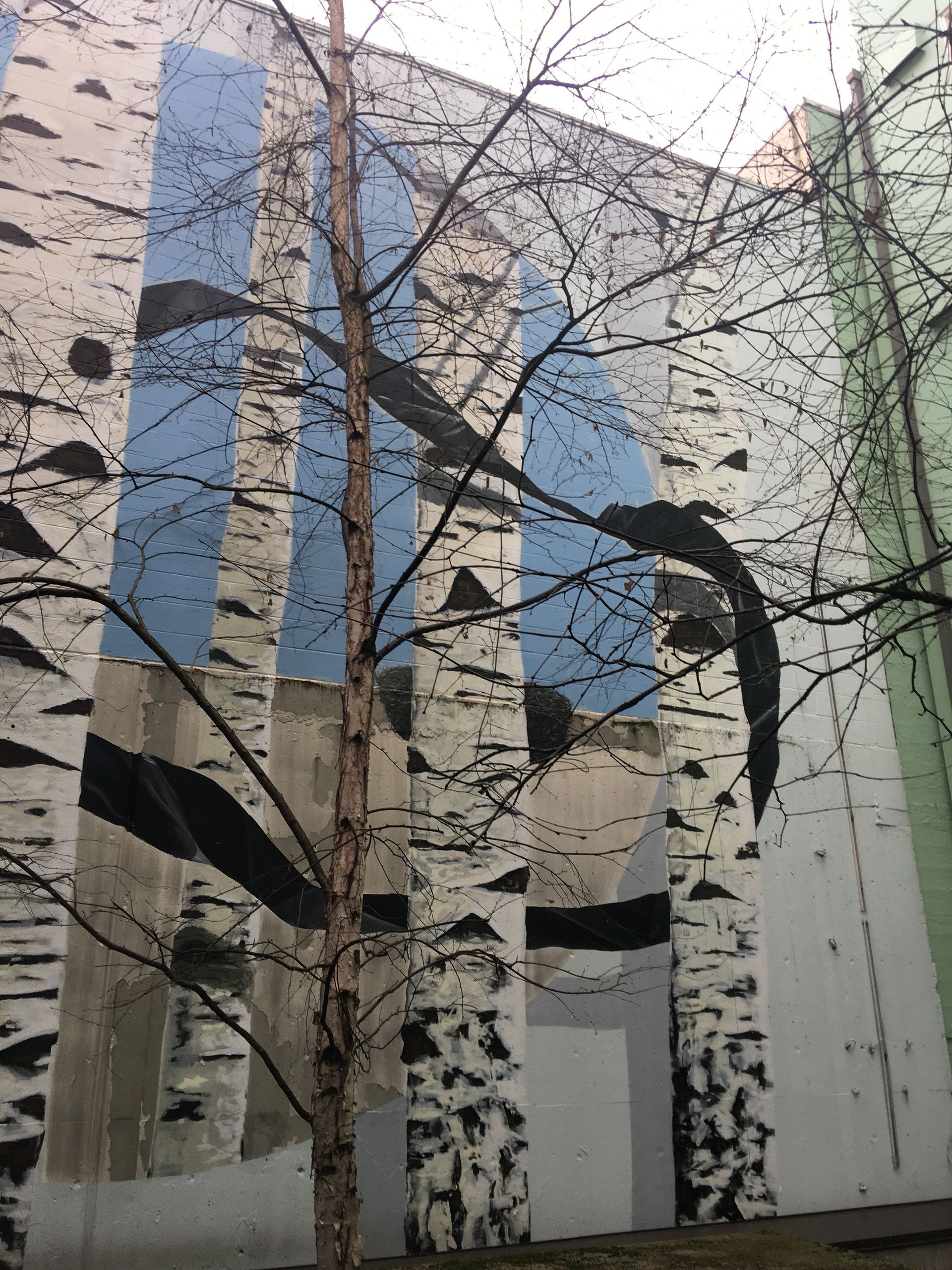 Birch tree mural on a building facade with a real tree in front. Blue and black stripes are visible.
