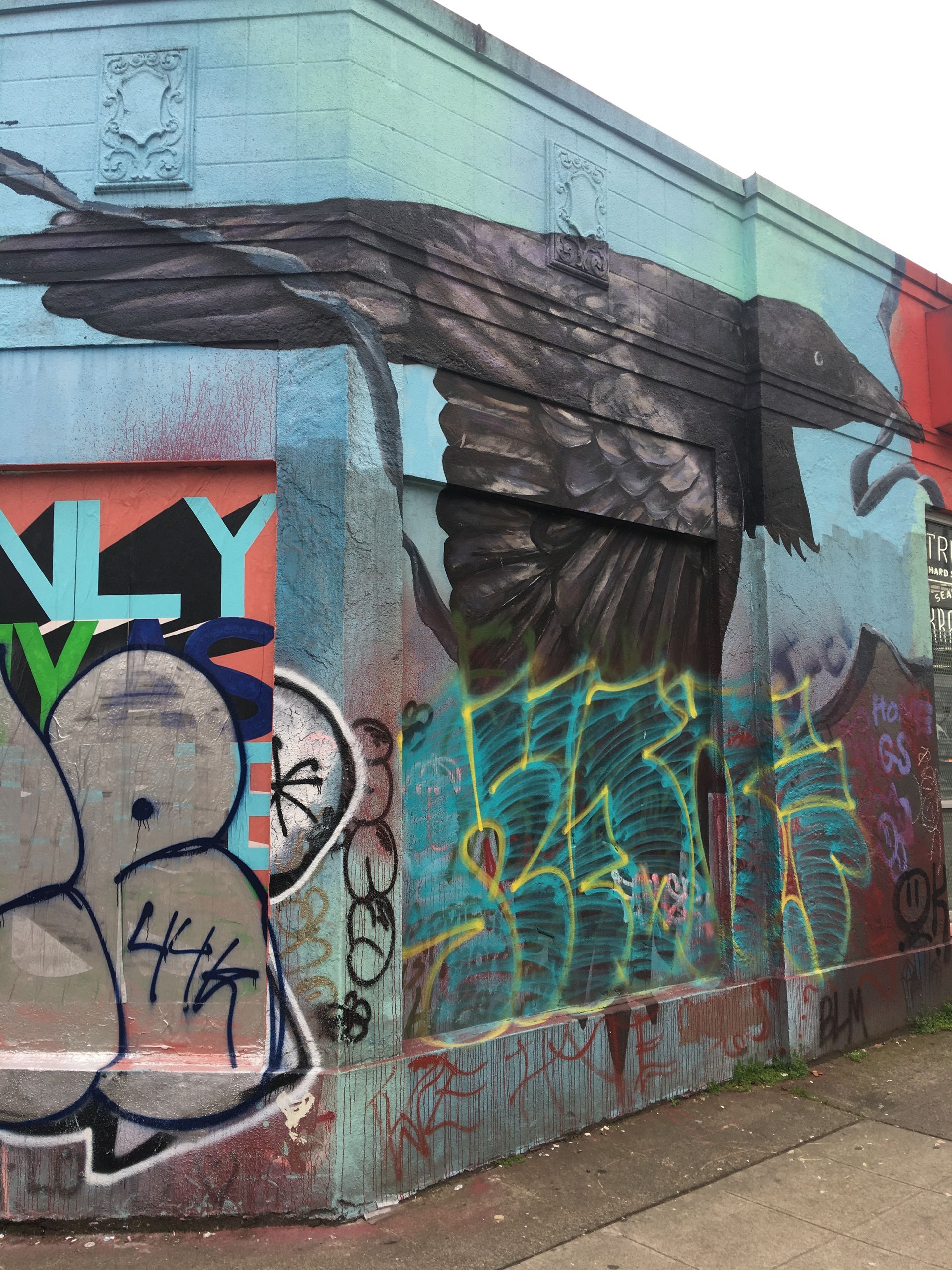 Graffiti art: large black raven with spread wings on a blue wall, surrounded by other colorful tags.