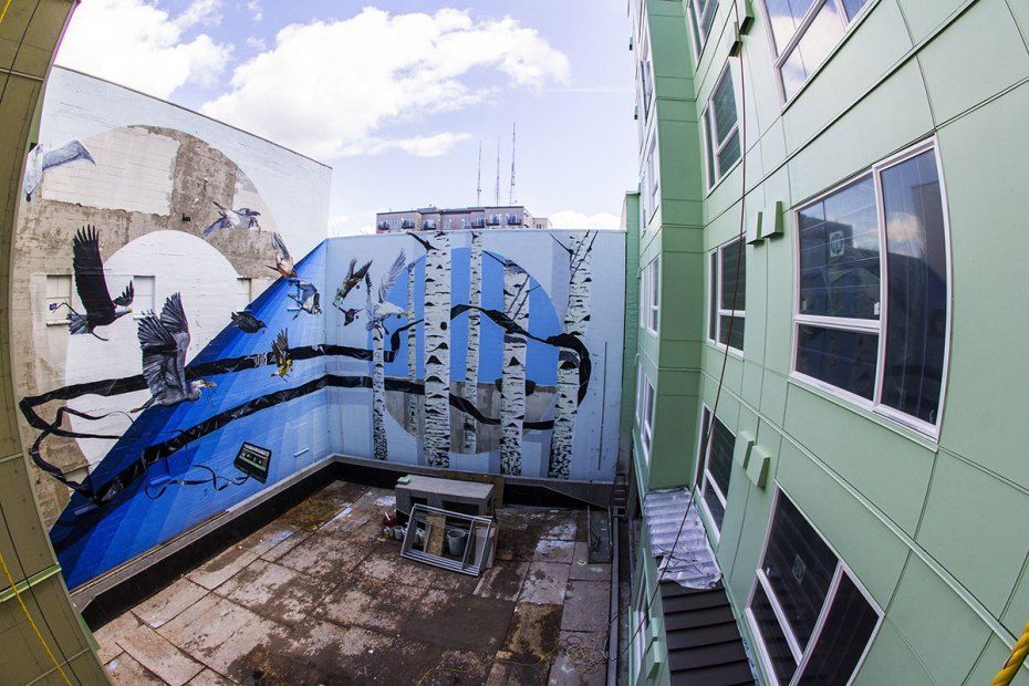 Mural on building walls: blue sky, birch trees, dark birds in flight, between two buildings, sunny day.
