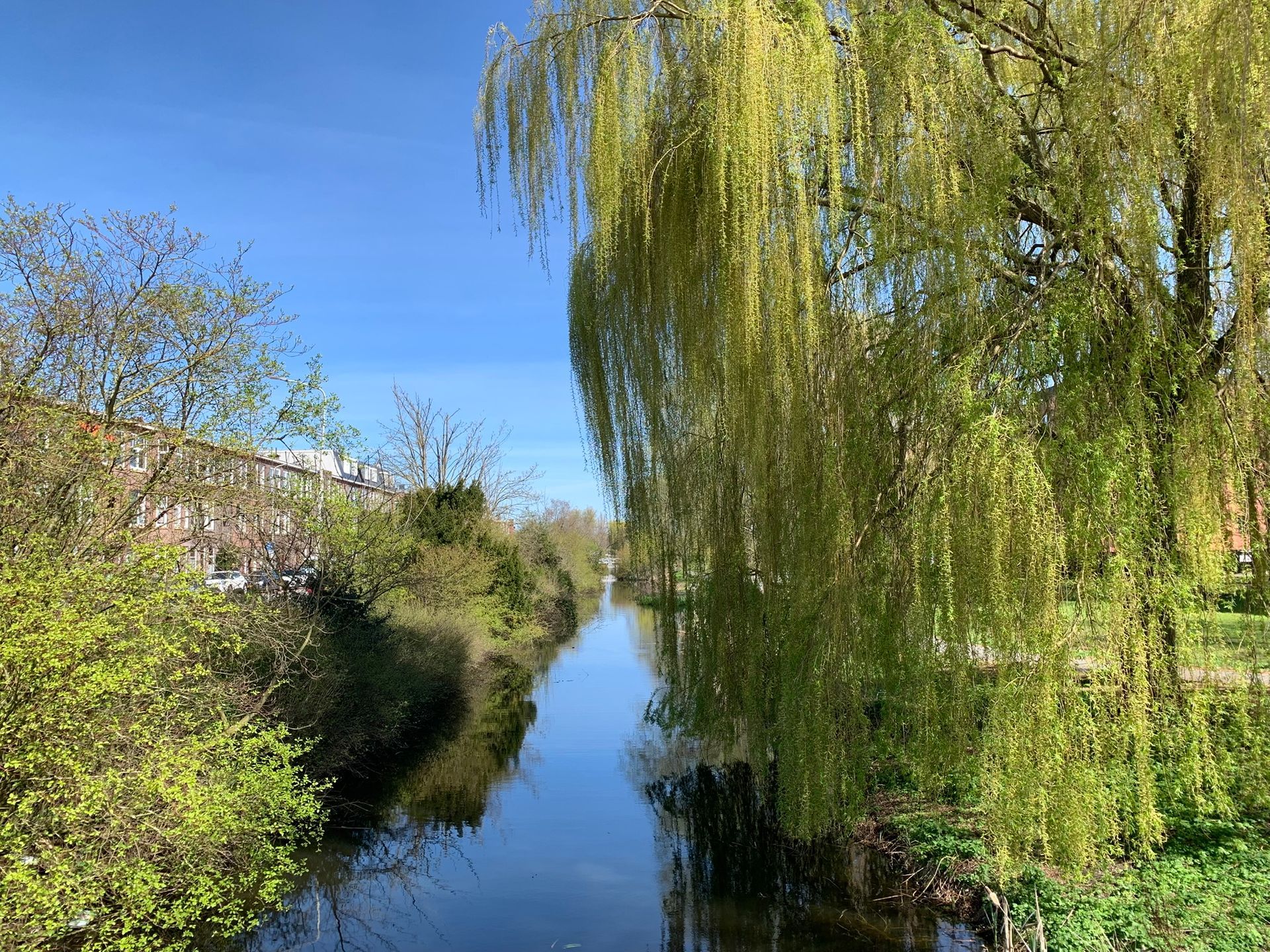 Hoe jouw binnenwereld het pedagogisch veld kleurt - Hélène van Oudheusden