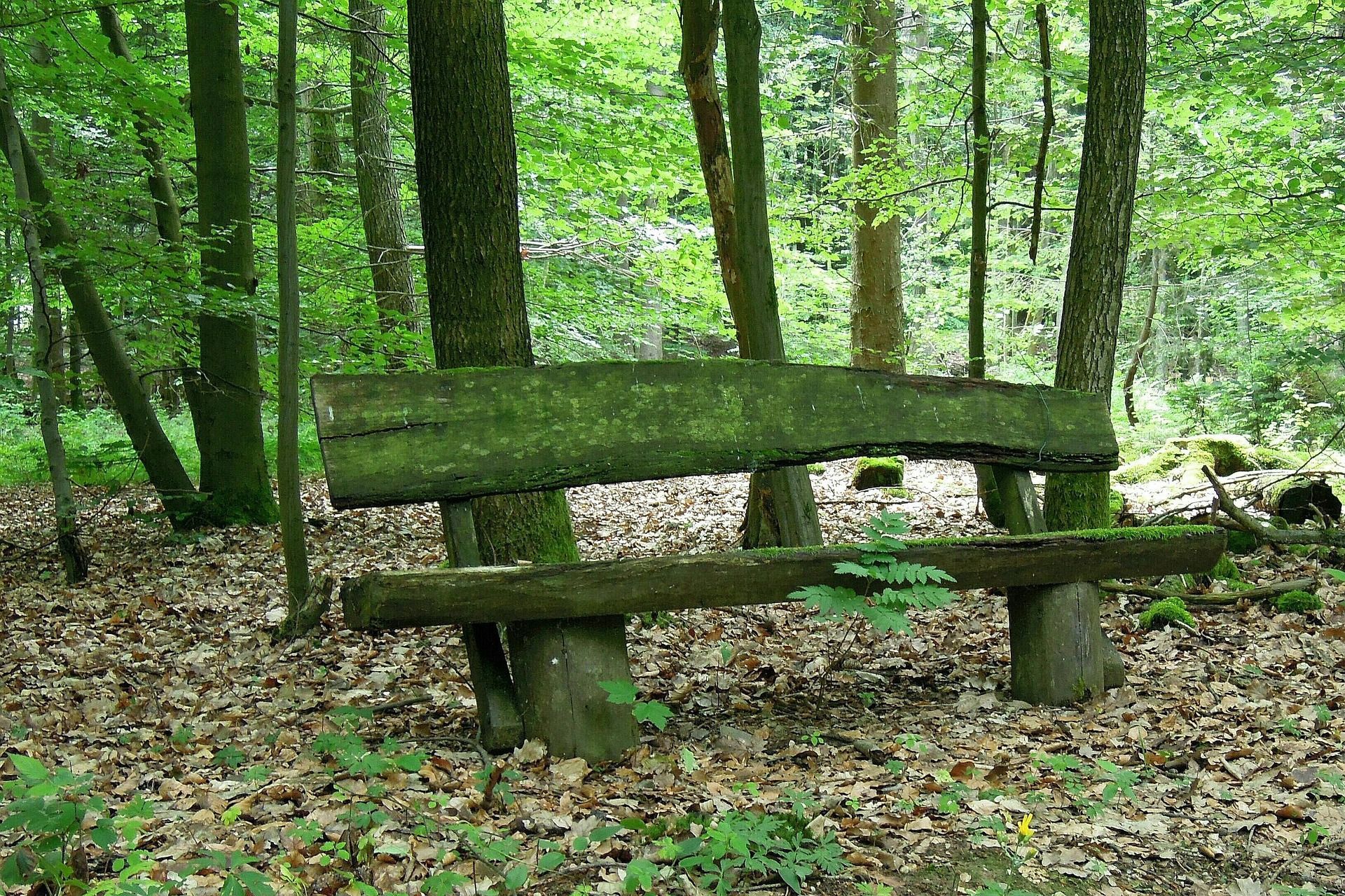 antranias-nature-187044_1920 Pixabay