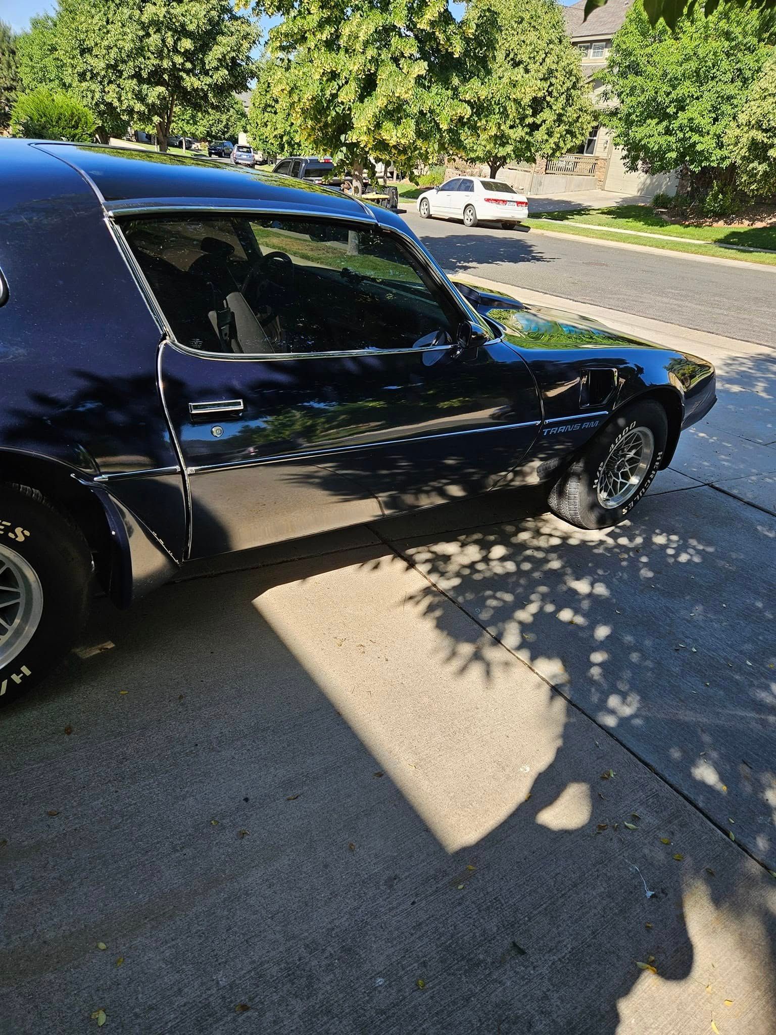 A dark blue classic muscle car parked on a paved driveway near green trees on a sunny day.
