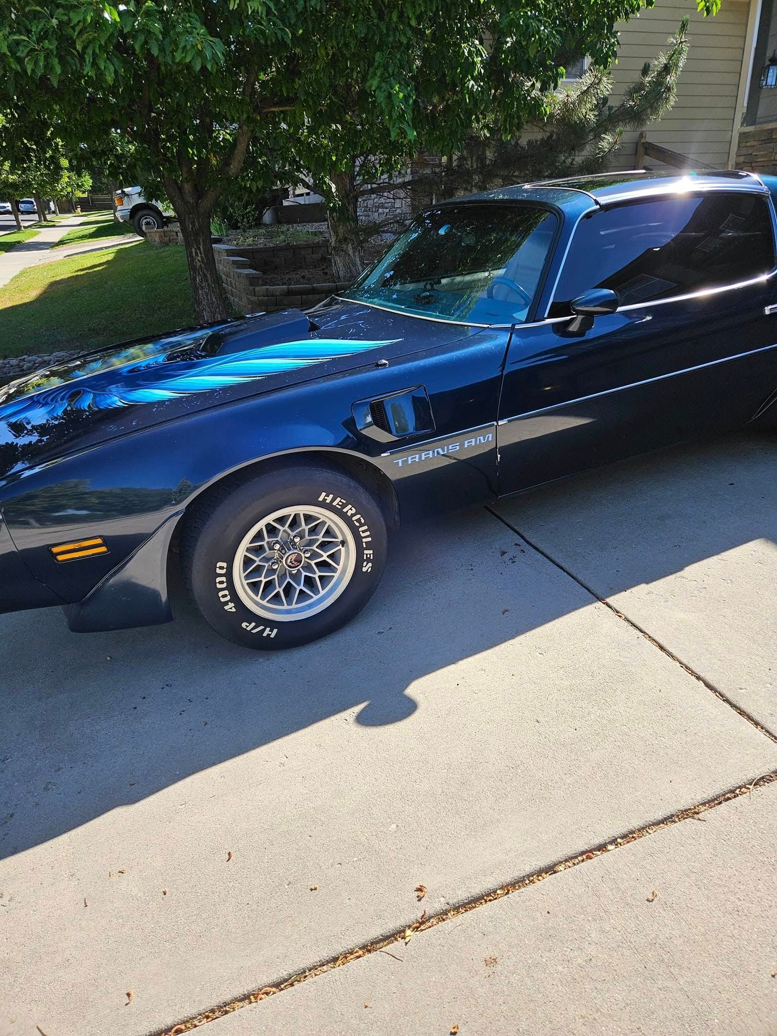 A dark blue vintage Pontiac Firebird parked on a concrete driveway under a leafy tree.