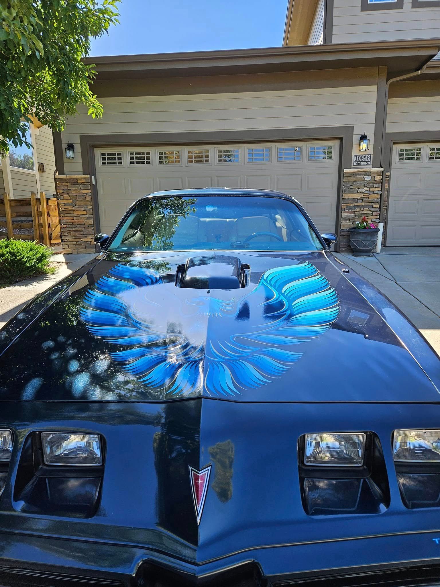 A black Pontiac Firebird Trans Am with a large, iconic blue phoenix decal on the hood, parked in a driveway.