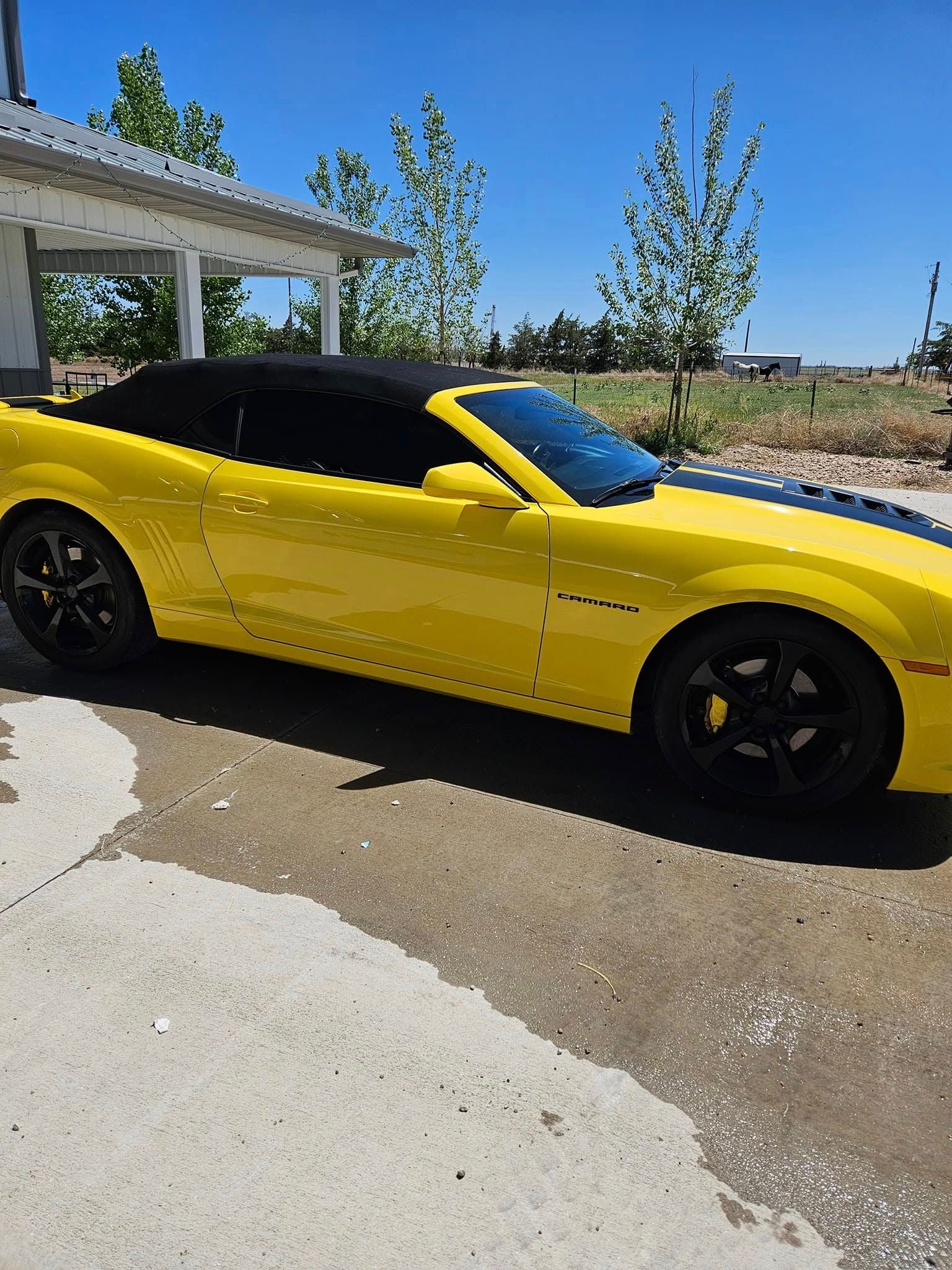 A yellow convertible Chevrolet Camaro with a black top and black wheels parked on a concrete driveway under a sunny sky.
