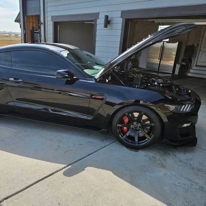 A black Ford Mustang Shelby GT350 with its hood open, parked on a concrete driveway in front of a garage.