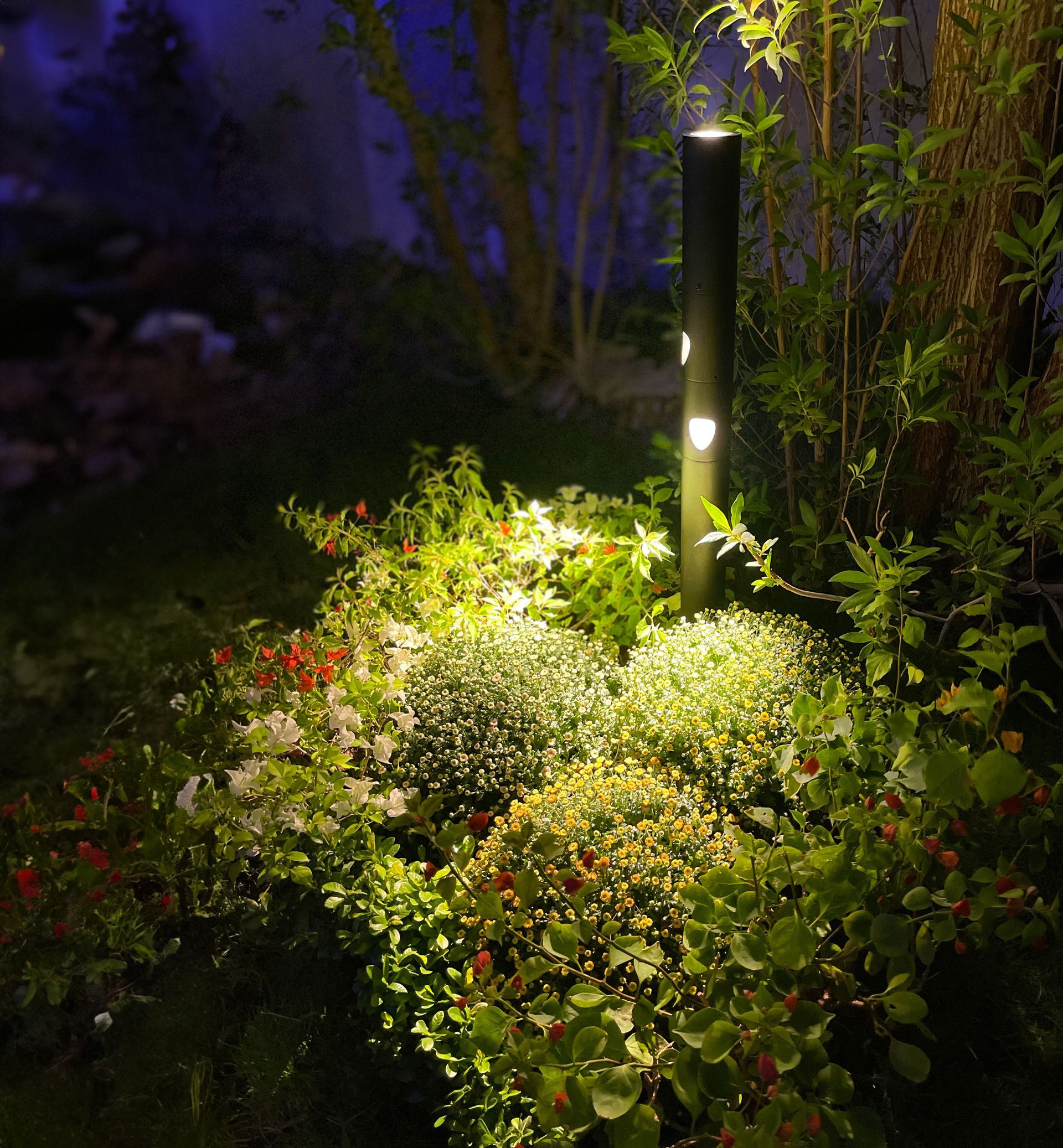 The Jupiter Bollard, a sleek black light fixture, illuminates lush greenery and vibrant flowers