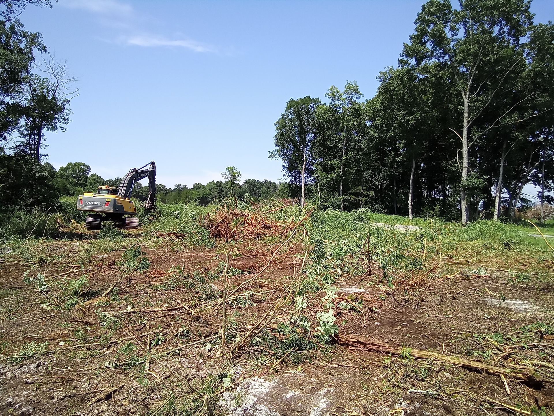 Excavator clearing brush in a field, with trees in the background under a blue sky.