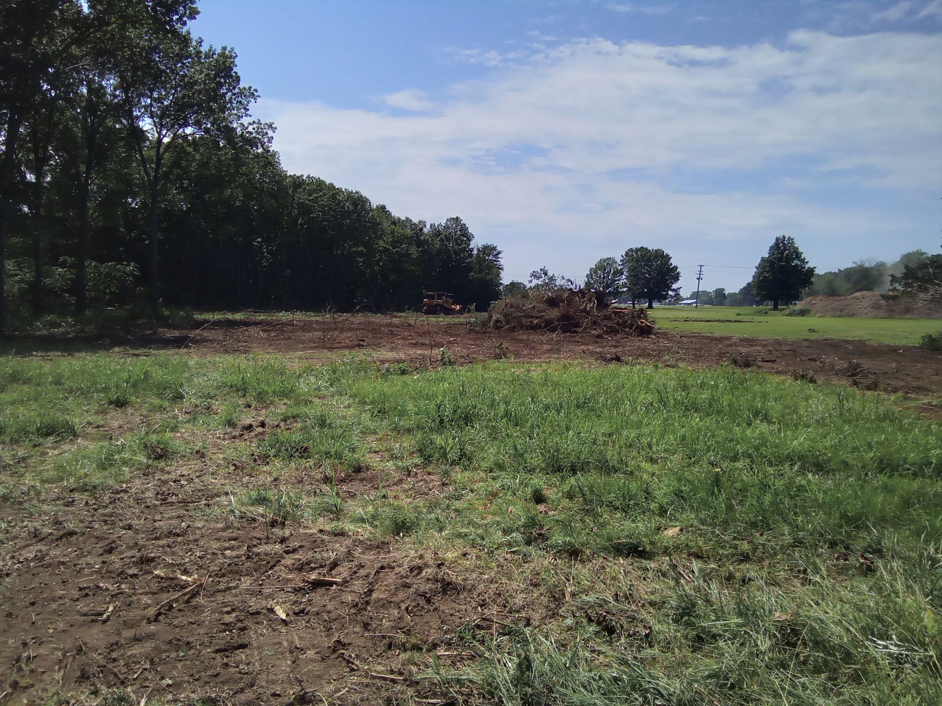Field of green grass with a cleared area in the center, trees in the background, blue sky with clouds.