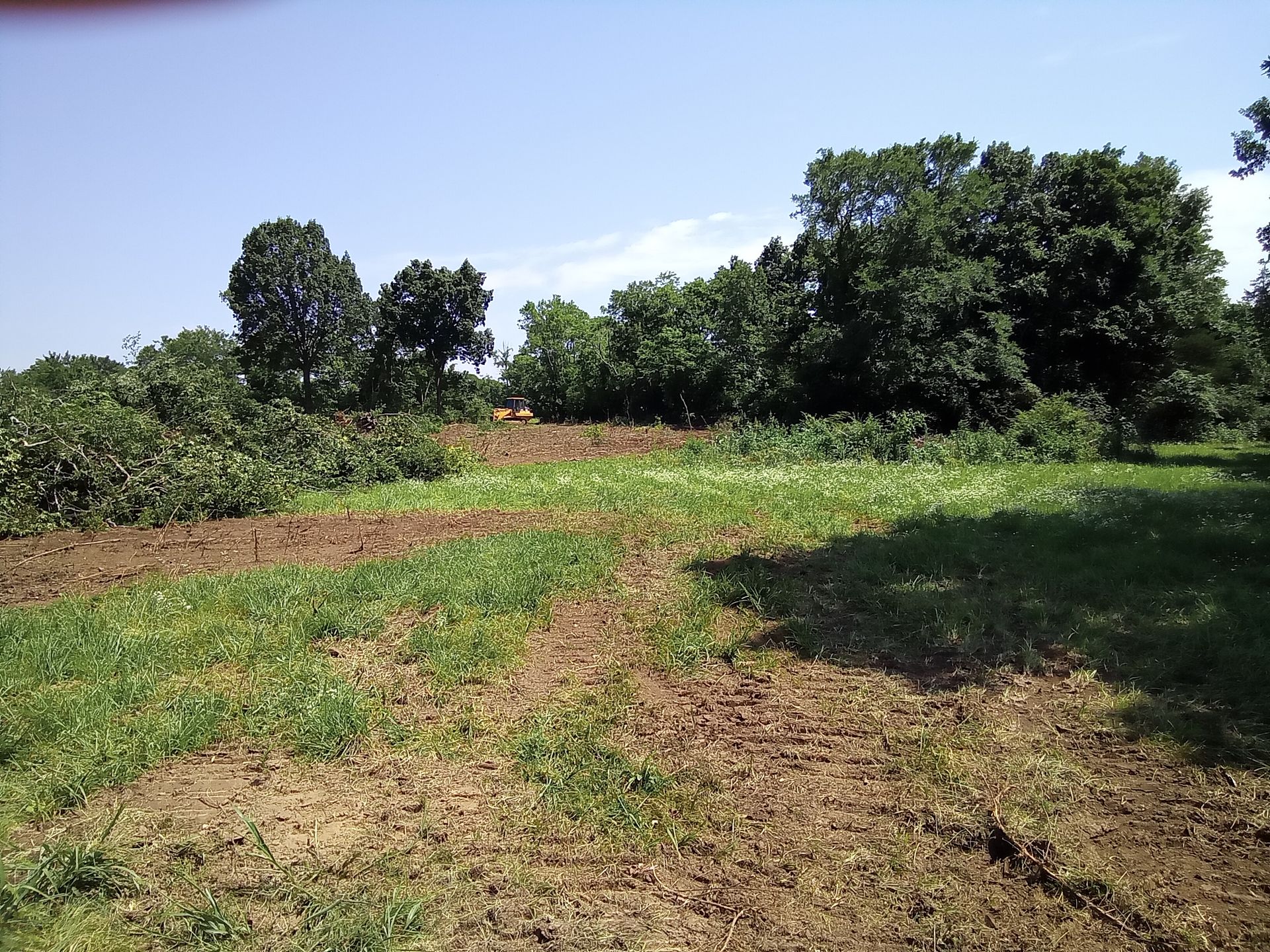 Field cleared for planting; green grass, brown earth, trees in background under a blue sky.