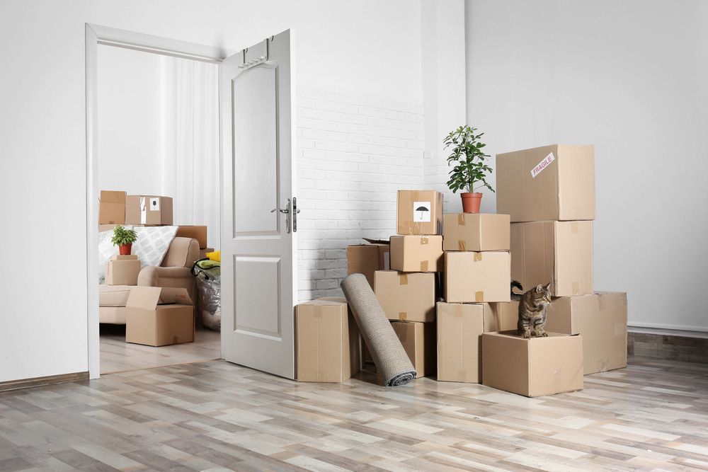 A Room Filled With Lots of Cardboard Boxes and a Rug — TJ Removals and Storage in Albury, NSW