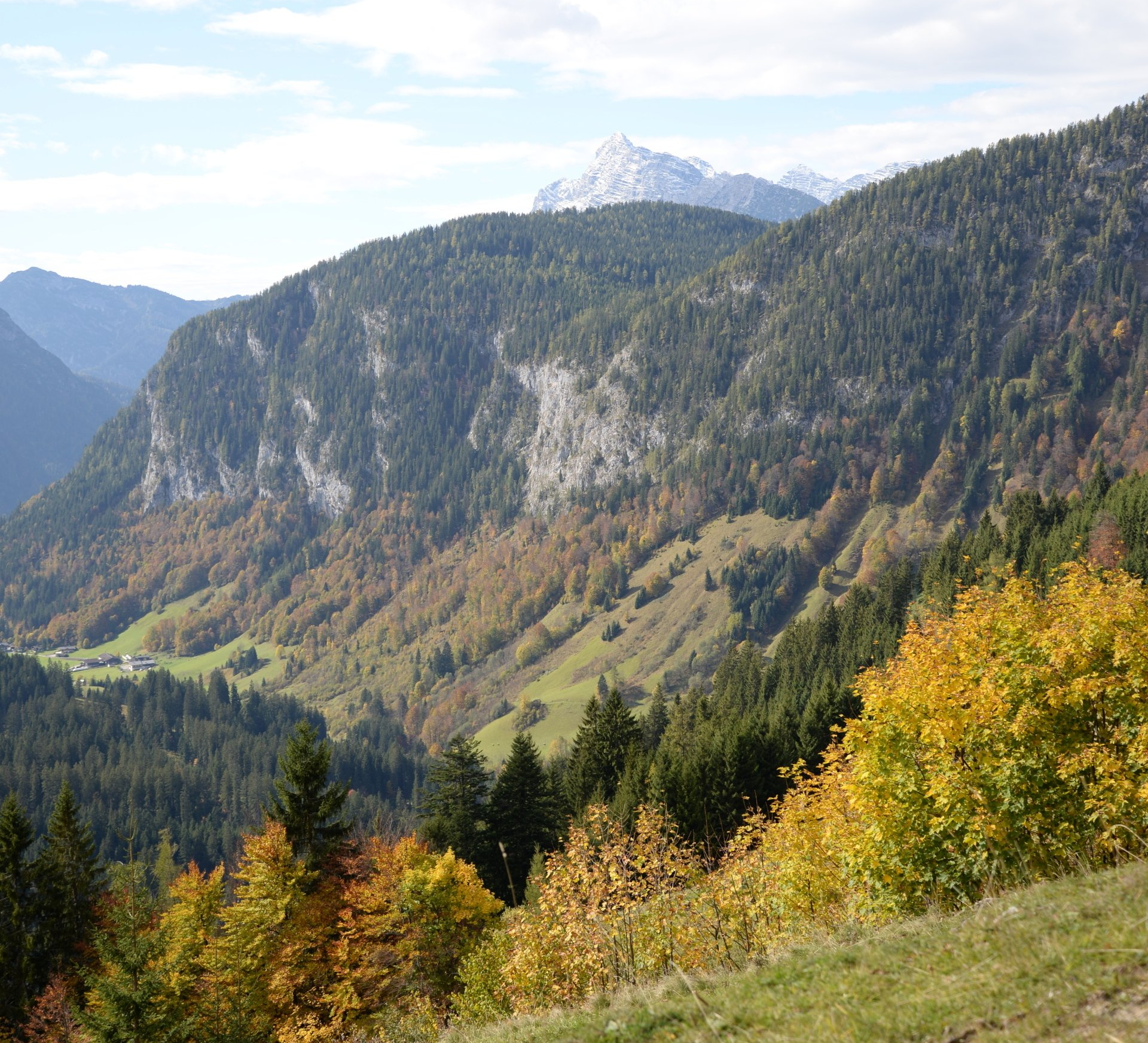 Weitläufige Berglandschaft mit immergrünen und herbstlich gefärbten Bäumen, grasbewachsenem Tal und schneebedeckten Gipfeln.