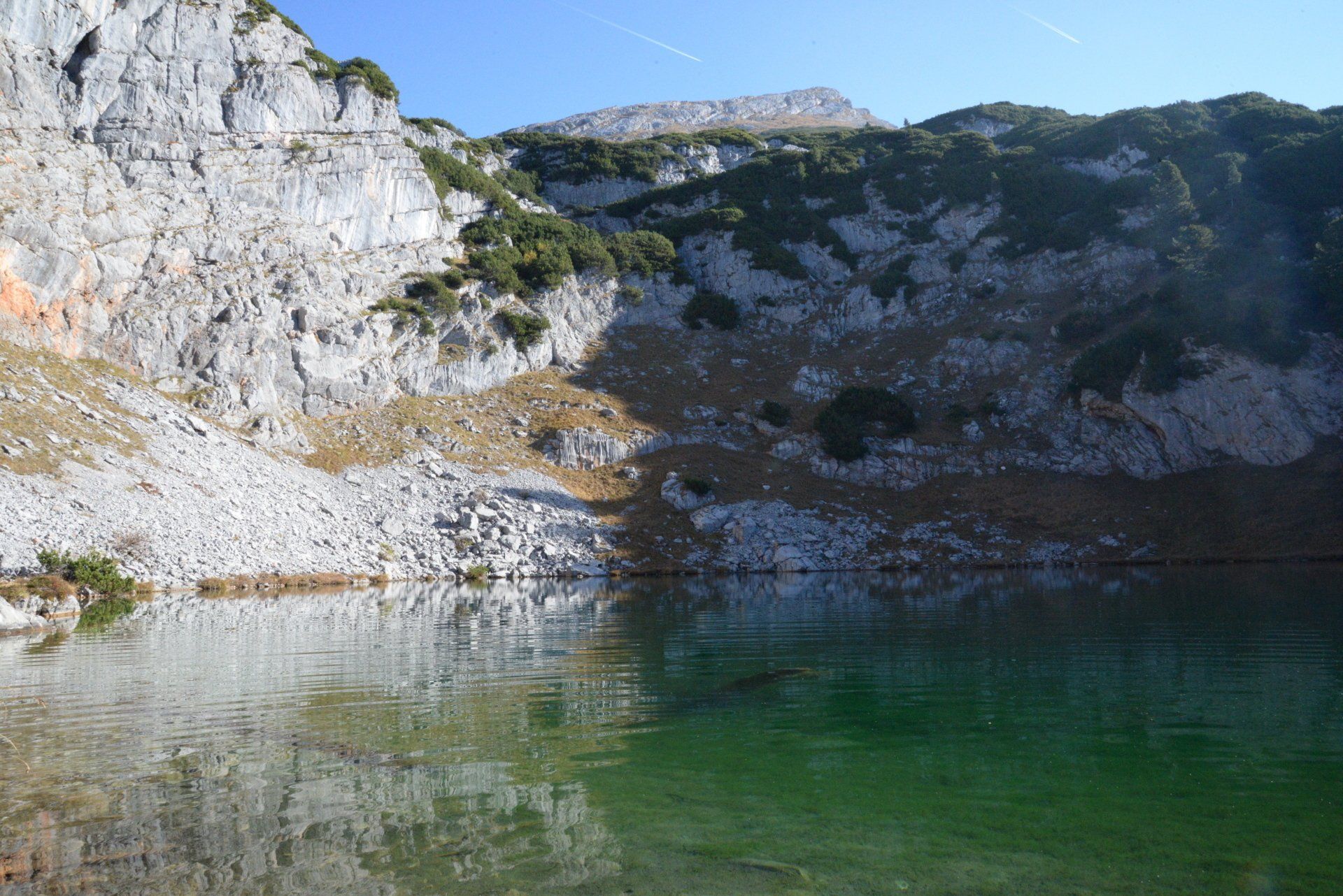 Ein von Felswänden umgebener Bergsee, dessen grünlich schimmernde Vegetation sich im Wasser spiegelt.