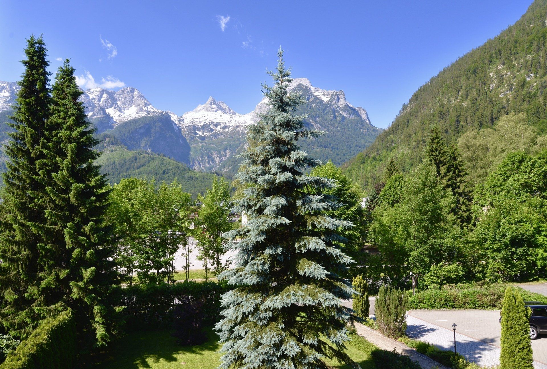 the view from the balconies: a beautiful mountain range with trees in the foreground