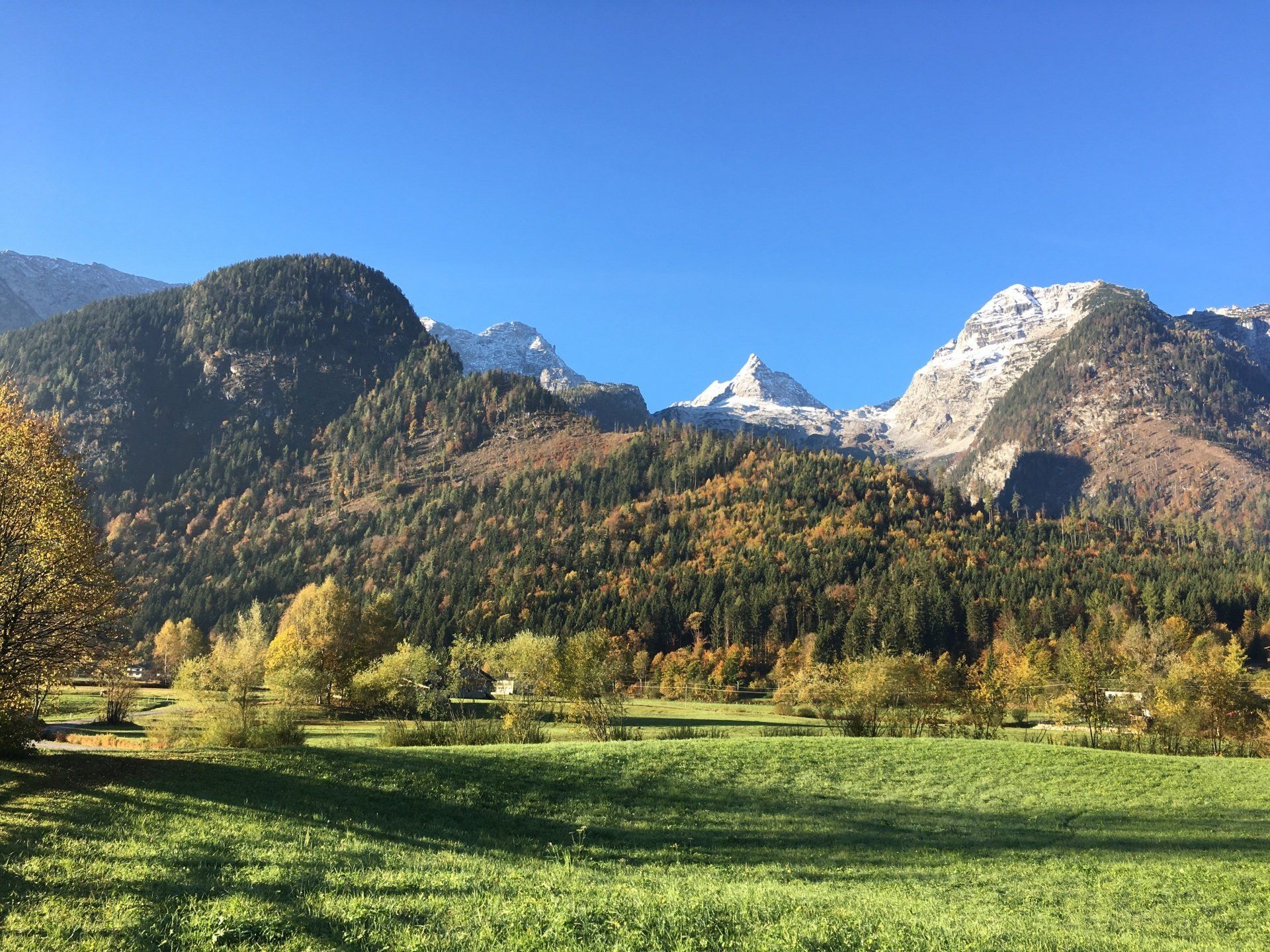 Grüne Wiese mit Herbstlaub und schneebedeckten Bergen unter klarem, blauem Himmel.