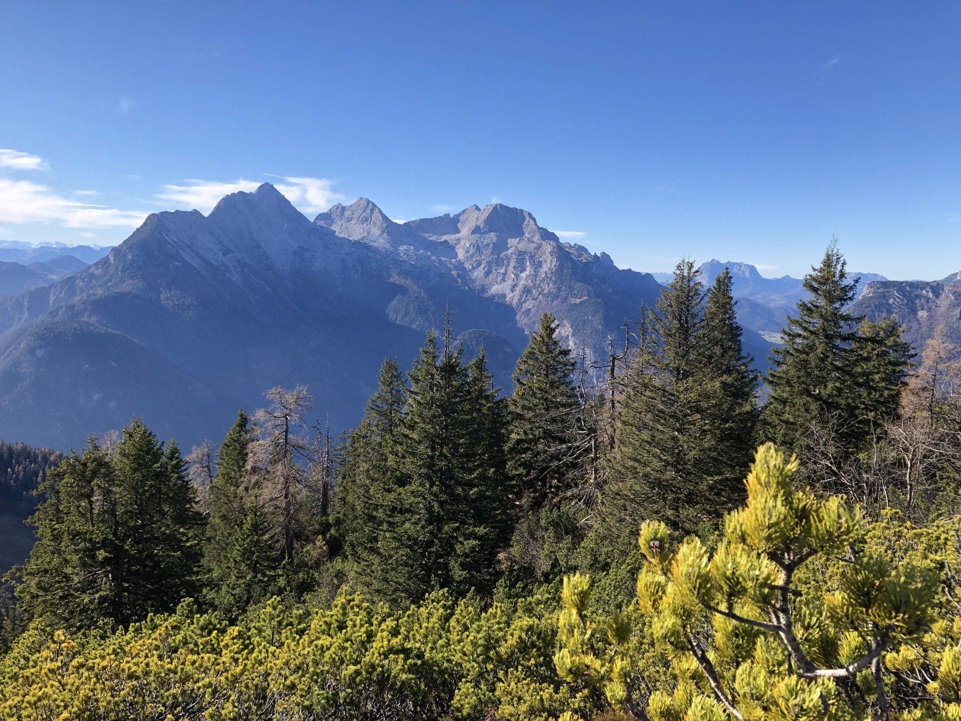 In der Ferne erheben sich Berge, eingerahmt von immergrünen Bäumen und blauem Himmel.