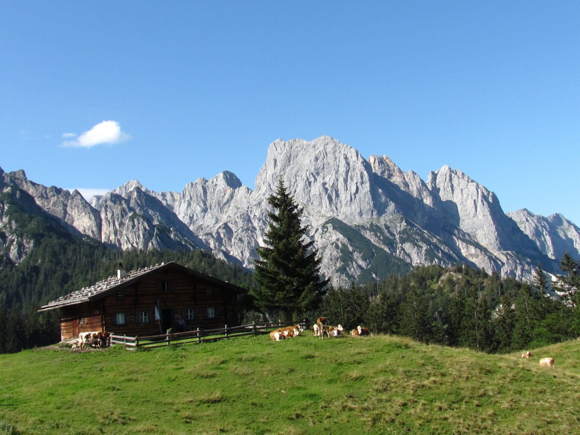 Eine Holzhütte an einem grünen Hang mit Kühen vor der Kulisse felsiger Berge unter blauem Himmel.