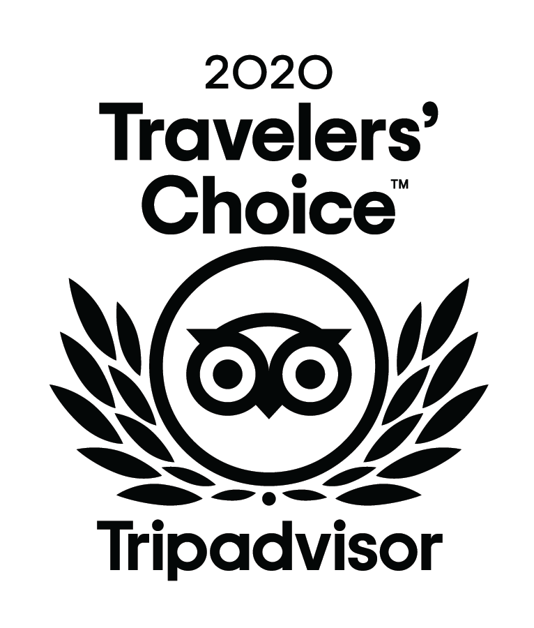 Logo des Travelers' Choice Awards 2020 für haus patricia, schwarzer Text und Eulenemblem auf weißem Hintergrund.