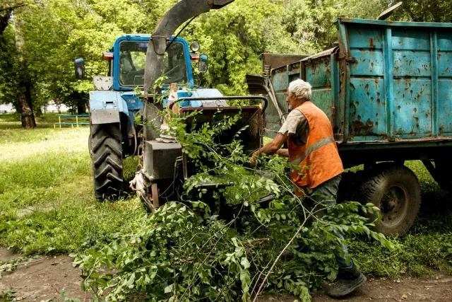 Tree Service El Monte Ca - A man in an orange vest feeds branches into a wood chipper, with a blue tractor and green trees in the background.