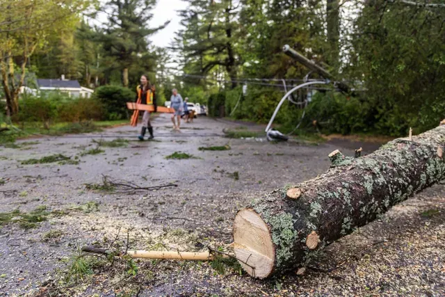 Tree Service El Monte Ca - Cleared tree debris on a road, with people in safety gear assisting after a storm; fallen power lines visible in the background.