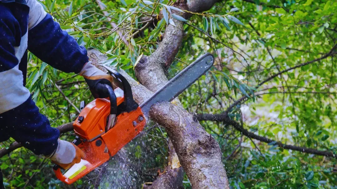 man cutting branch using chainsaw