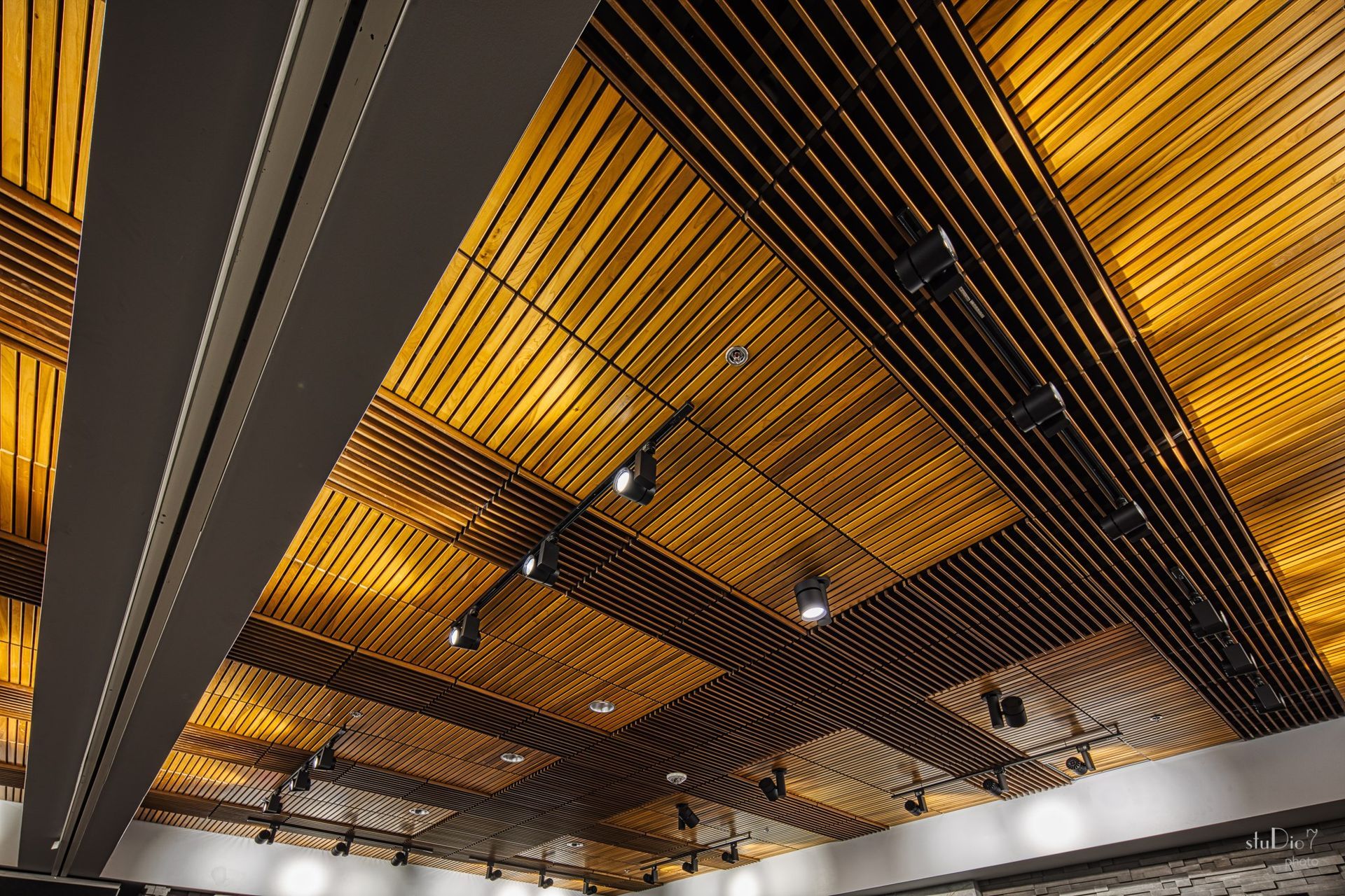 Specialty Lighting