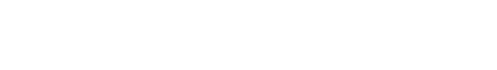 Thin white horizontal line