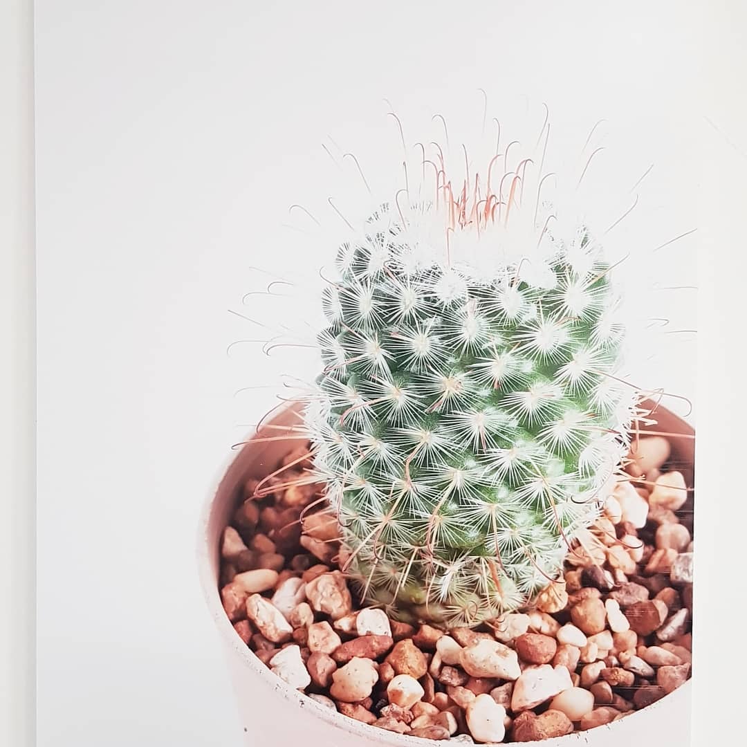 alfabeta comunicazione